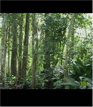 A000089-14