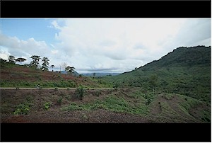 A000106-17
