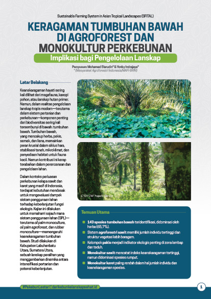 CPB00502-25